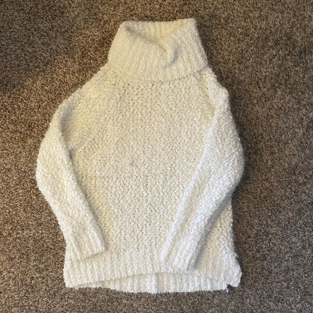 Fuzzy Knit Turtleneck 🐢